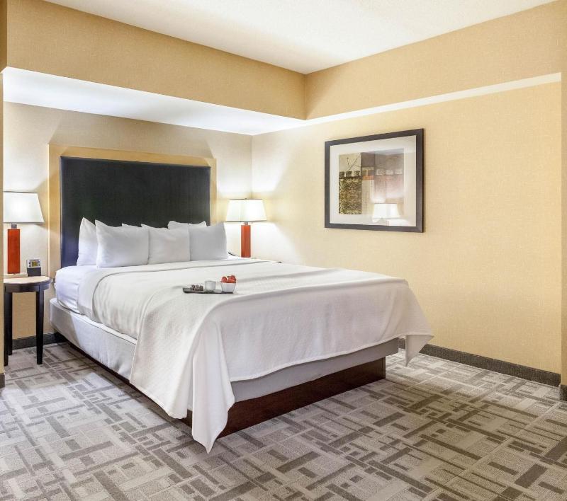 One-Bedroom King Suite - Non-Smoking image 2