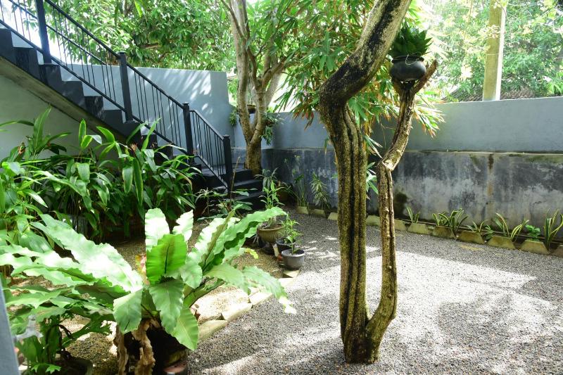 THE FREEDOM - image 18