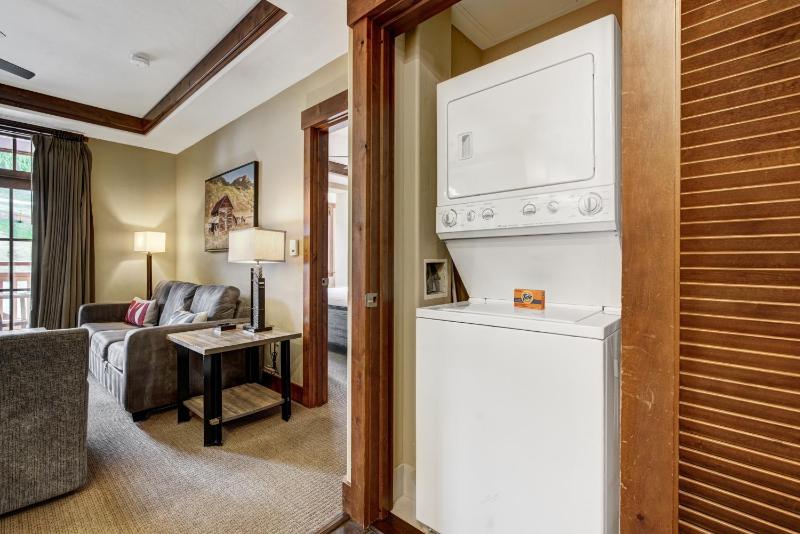 Luxury 1 Bedroom Condo with Slopeside View condo - image 3