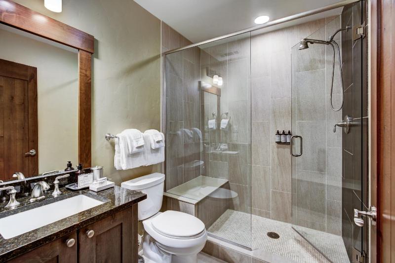 Luxury 1 Bedroom Condo with Slopeside View condo - image 9