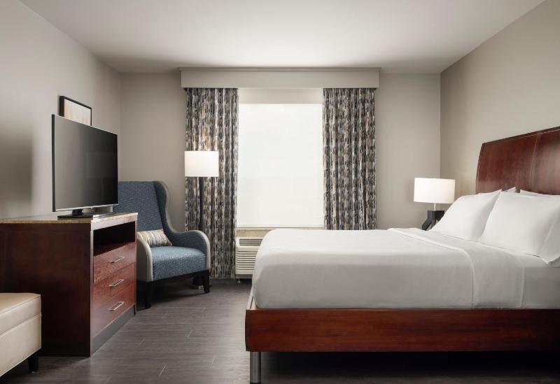 One-Bedroom King Suite with Sofa Bed image 3