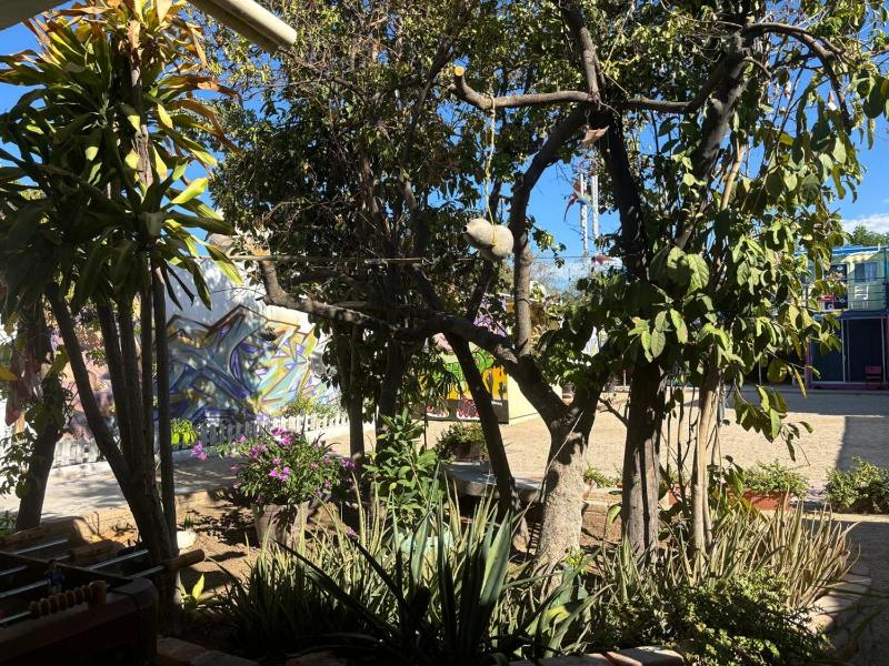 Peace Hostel MX - image 20