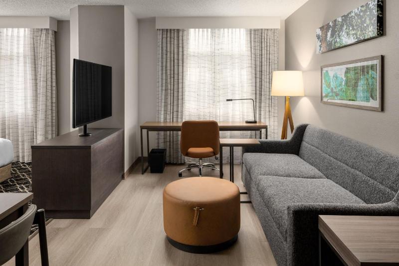 King Studio with Sofa Bed - Hearing Accessible image 4