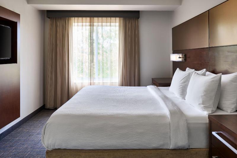 One-Bedroom King Suite with Sofa Bed image 3