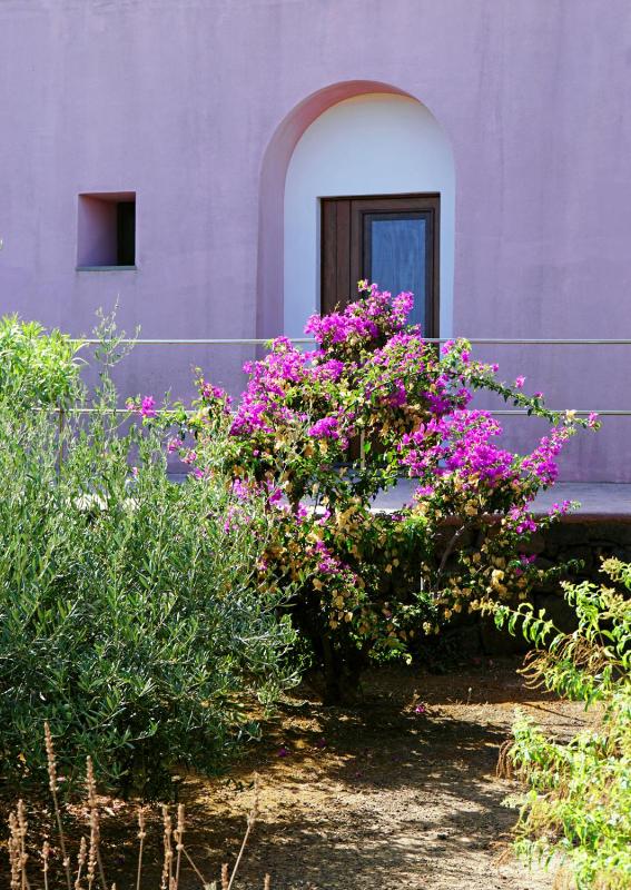 One-Bedroom House image 4