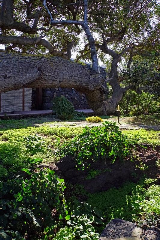 One-Bedroom House image 3