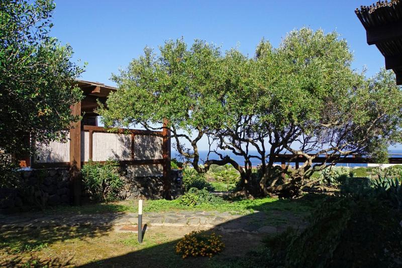 One-Bedroom House image 2