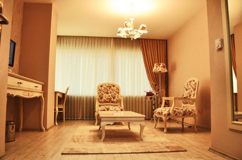 Standard Suite image 3