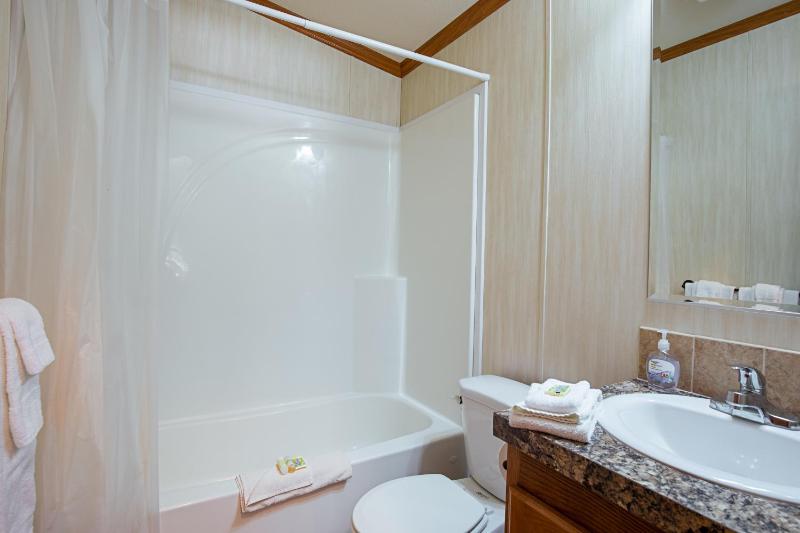 Two-Bedroom Park Model image 4