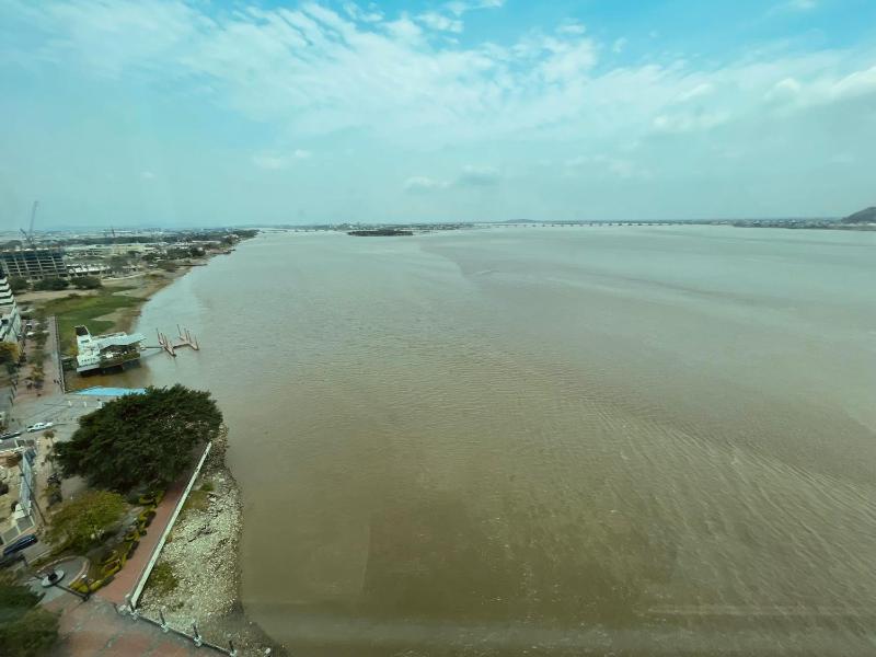 Gallery Suite en Riverfront Puerto Santa Ana - image 15