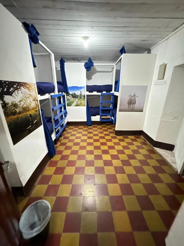 Kamazoztz Hostel and Travel - image 3