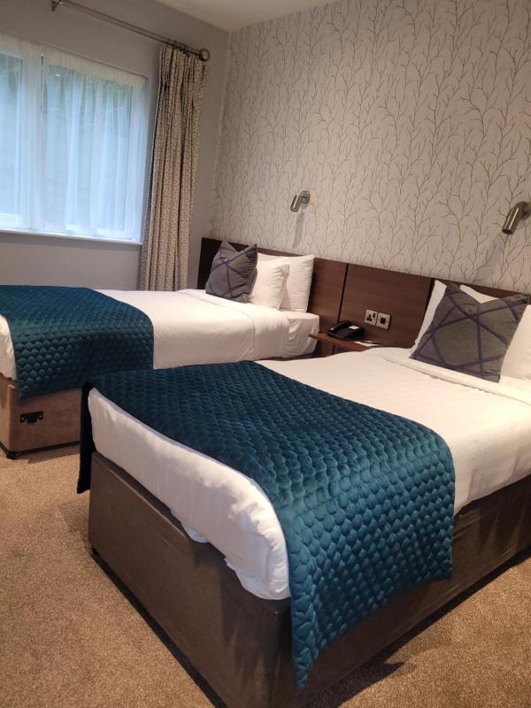 Twin Room image 1