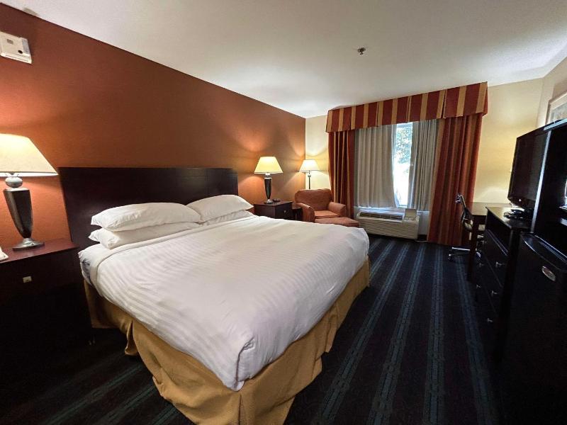 King Room - Non-Smoking image 4