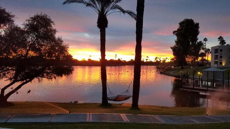 The McCormick Scottsdale - image 47