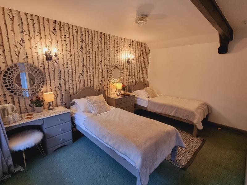 Standard Twin Room image 4