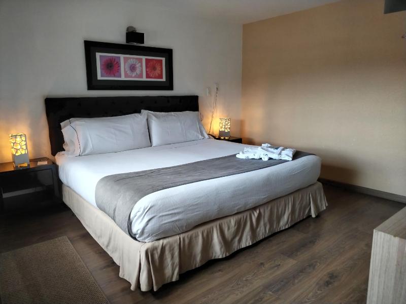 Santa Maria de Leyva Hotel Boutique - image 14
