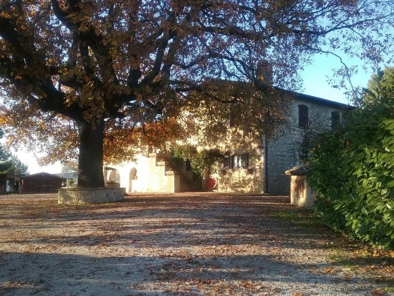 Il Casale della Quercia - image 19