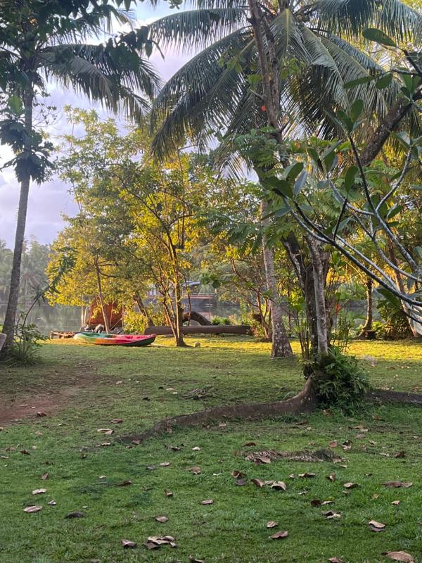 The Cinnamon Cottage - image 22
