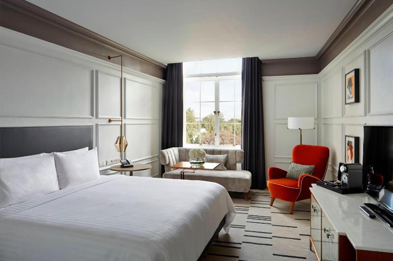 Deluxe King Room image 1