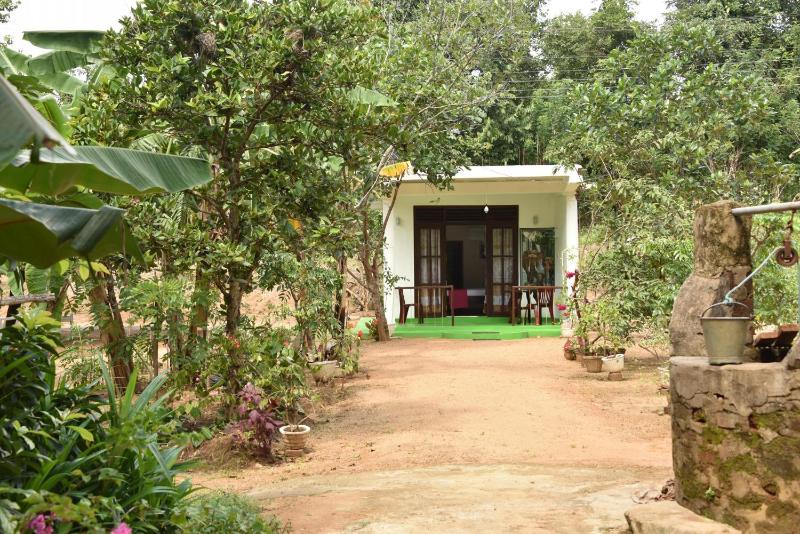 Sigiri Elephant View Guest - image 6