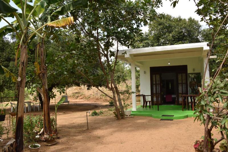 Sigiri Elephant View Guest - image 16