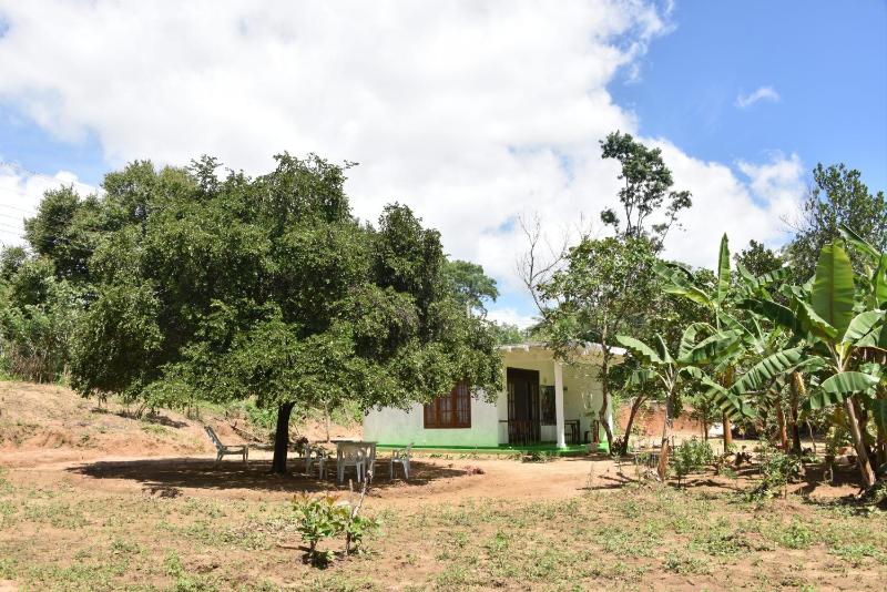 Sigiri Elephant View Guest - image 13