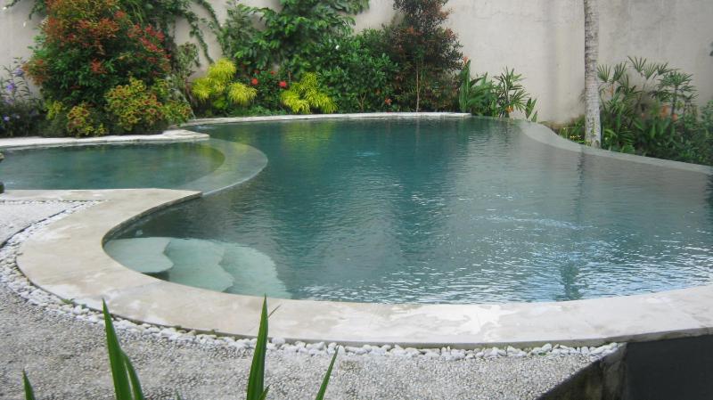 Mahanadewi Villa - image 14