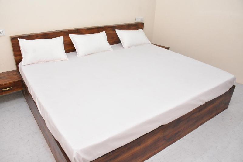 Hotel Shree Narayan Palace - image 18