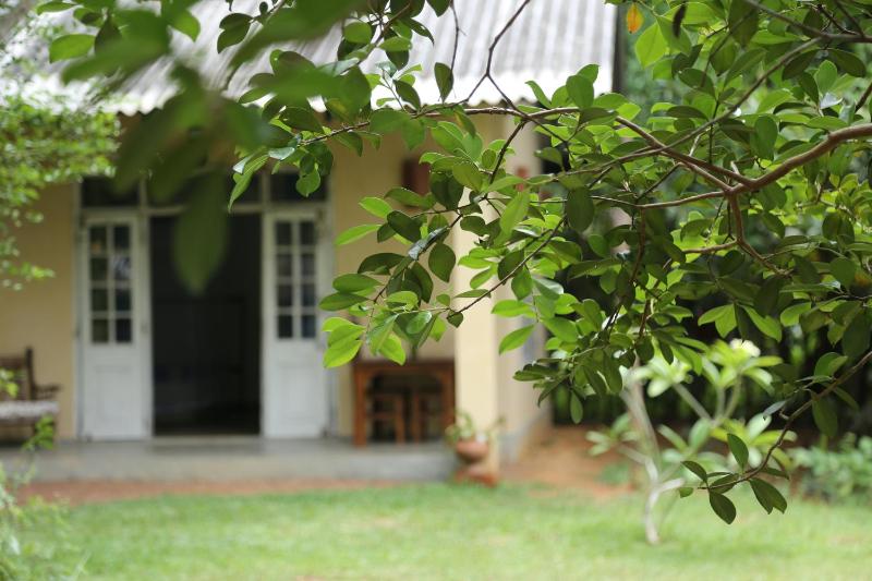 The Cinnamon Cottage - image 17