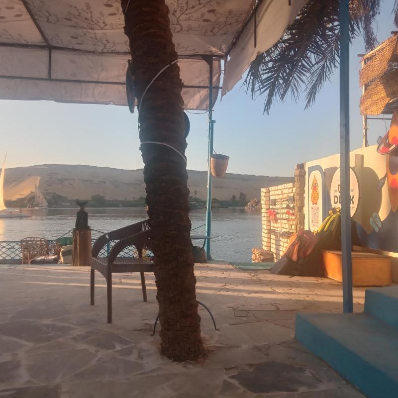 hooly nubian - image 11