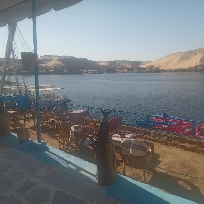 hooly nubian - image 12