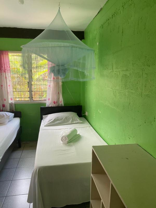 Island Home - image 11