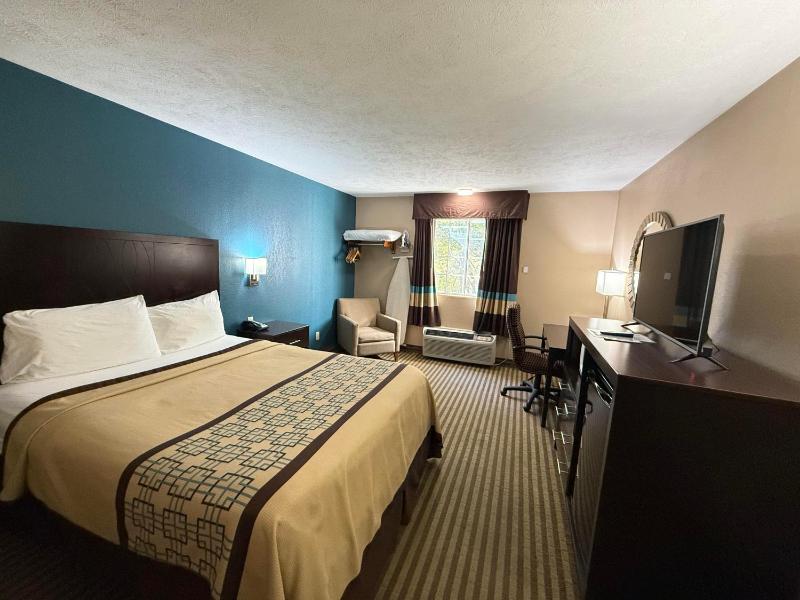 Standard Single Room image 3