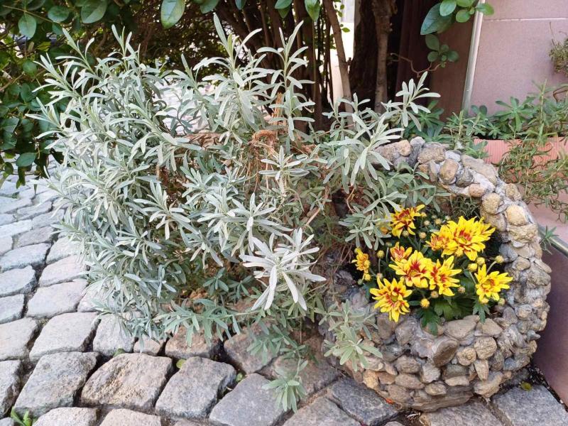 Residence Art Guest House - image 18
