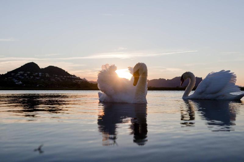 Denia Marriott La Sella Golf Resort & Spa - image 20