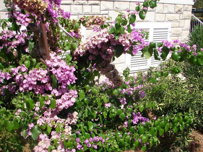 Apartment Slavica - image 11