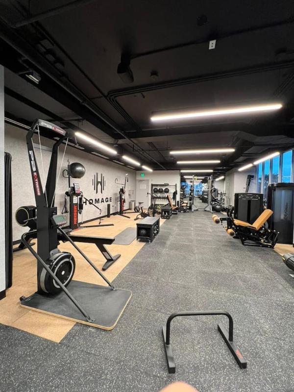Ocean View Entire Condo In Downtown With Pool and Gym - image 9
