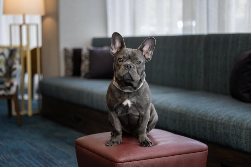 Hampton Inn Cleveland-Downtown - image 13