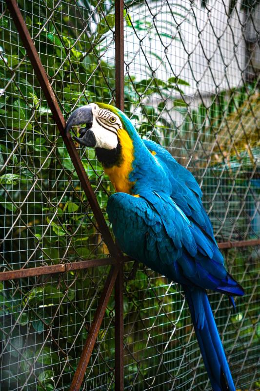 Panama House Bed & Breakfast - image 13