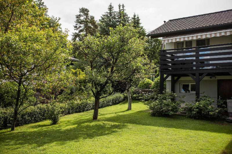 Apartments Villa AnnaMaria - image 14