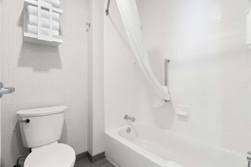 Hampton Inn & Suites by Hilton Chicago Medical District UIC - image 6
