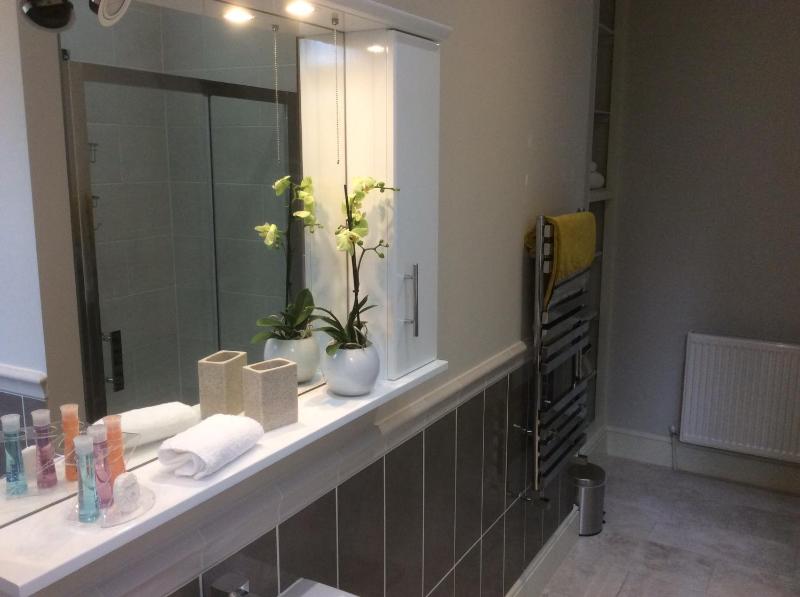 Superior Apartment 6 with private Office image 4