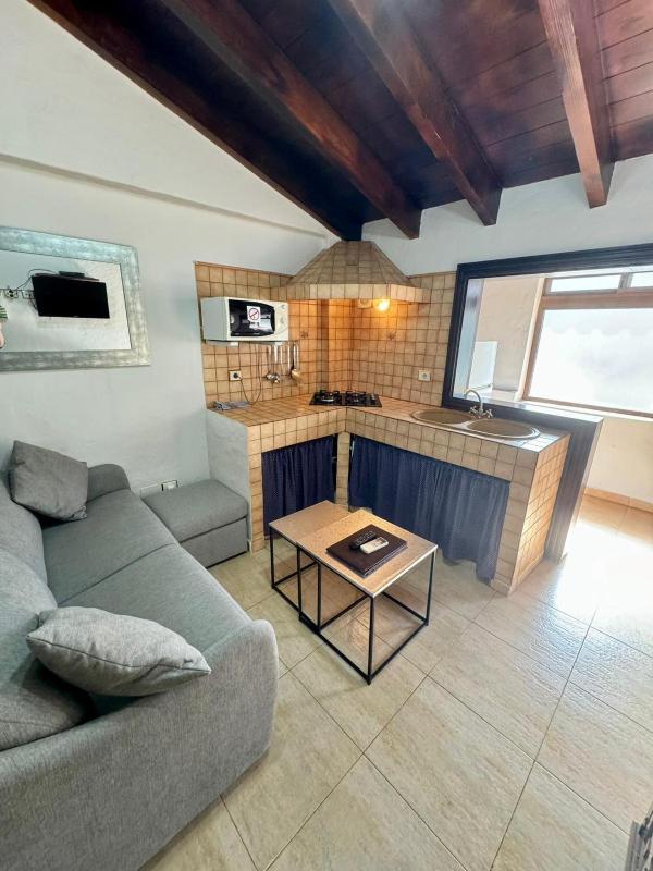 One-Bedroom Apartment with Terrace image 3