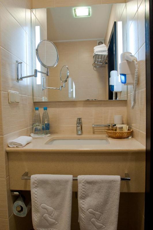 Premier Twin Room image 4