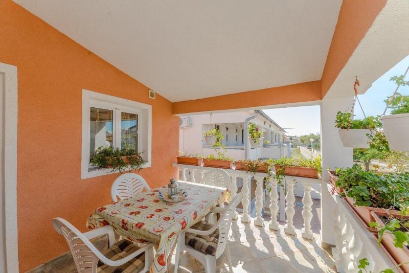 House Seagull - image 17