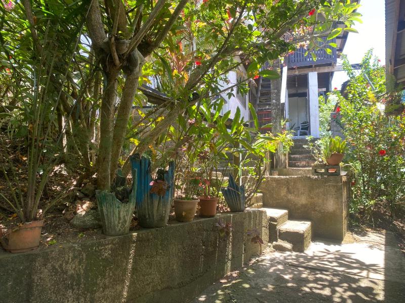 Island Home - image 16