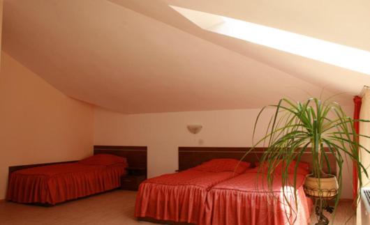 Junior Suite (3 Adults) image 3