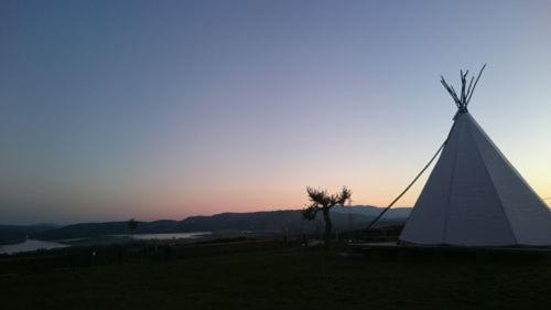 Tent image 4