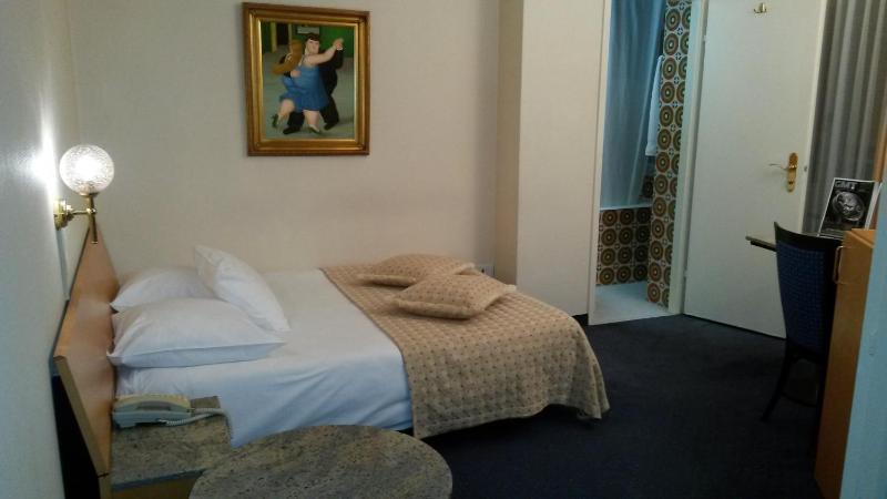 Superior Single Room image 2