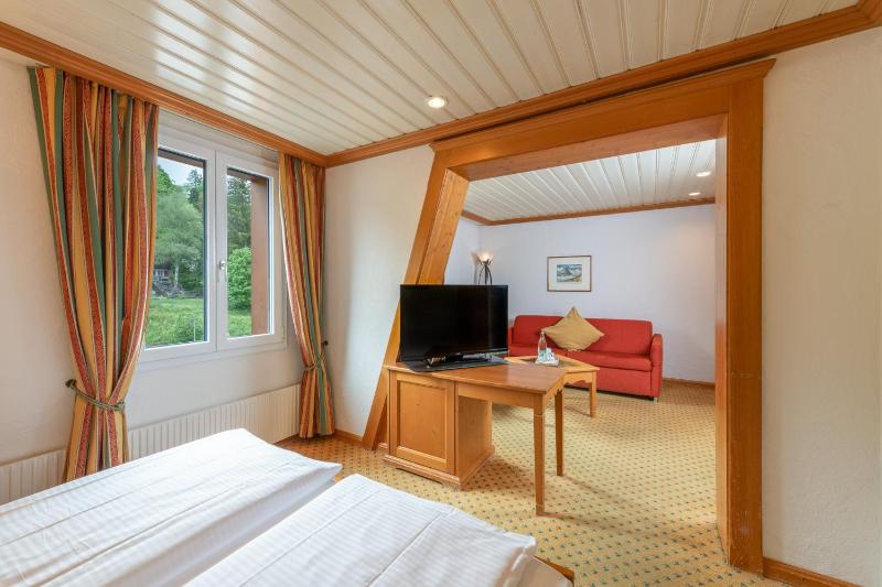 Double Room Comfort Basic with Sitting Corner, without Balcony image 3